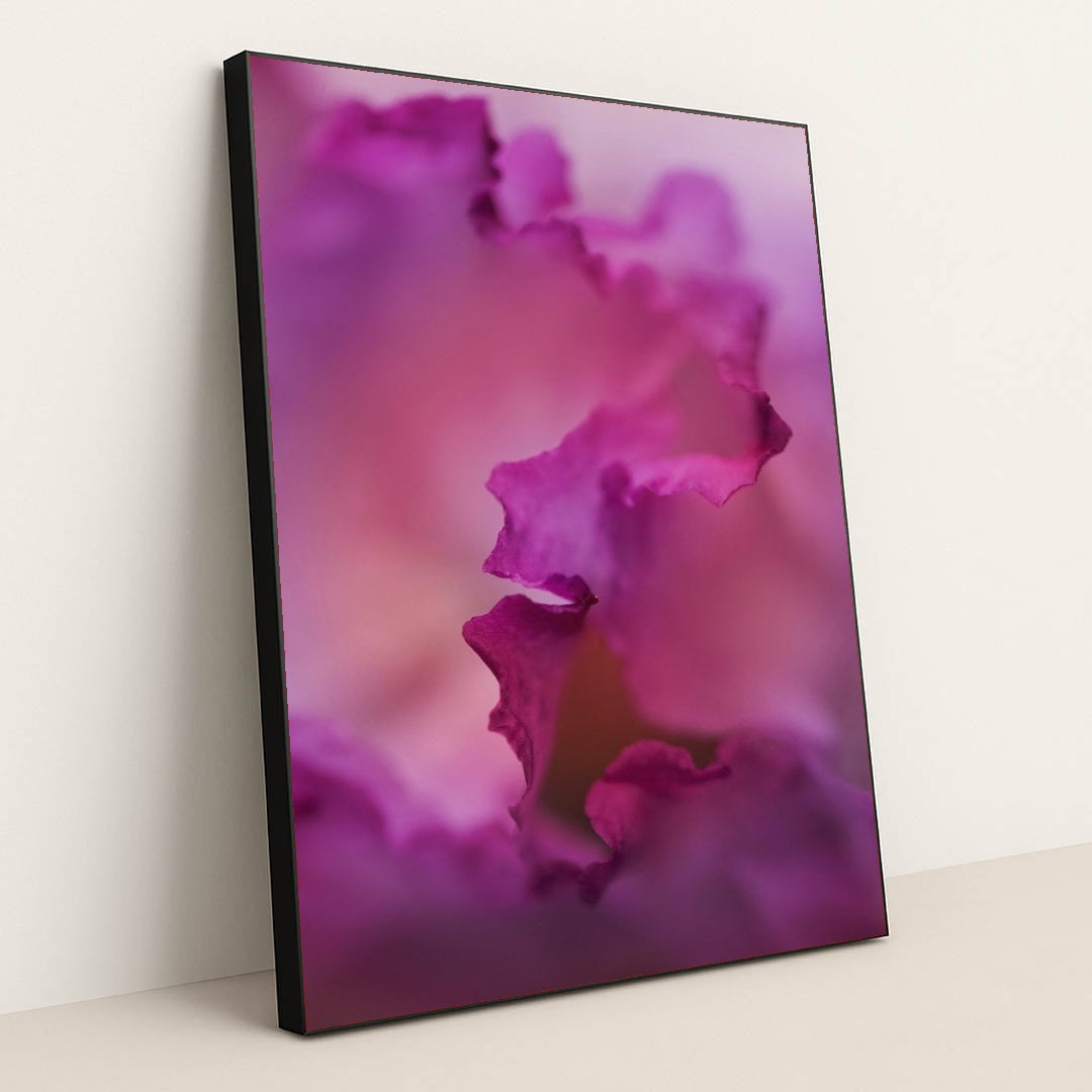 7090285740067 - Product Image