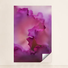 7090285740067 - Product Image