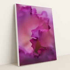 7090285740067 - Product Image