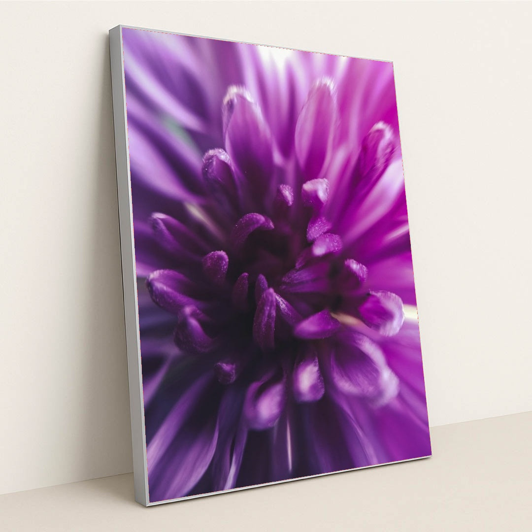 7090286886947 - Product Image