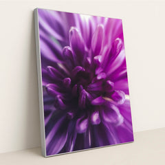 7090286886947 - Product Image