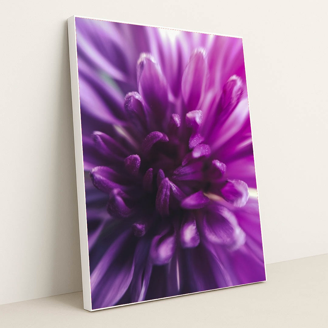 7090286886947 - Product Image