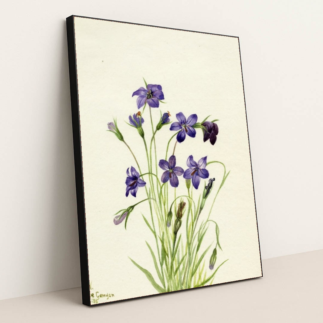 7074627420195 - Product Image