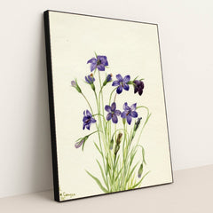 7074627420195 - Product Image