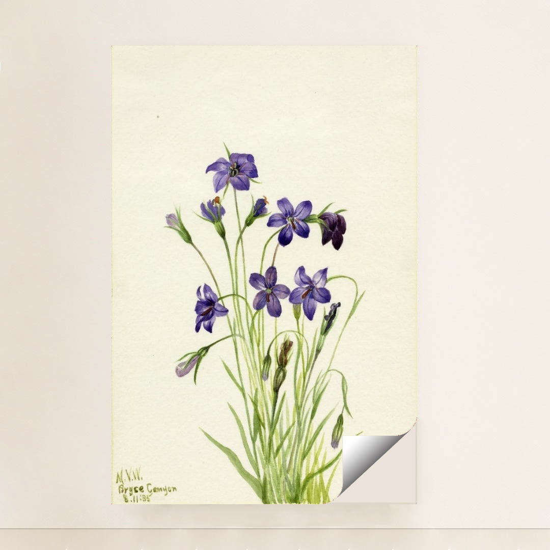 7074627420195 - Product Image