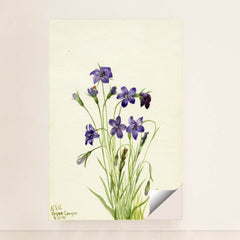 7074627420195 - Product Image