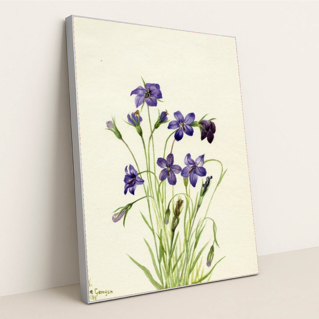 7074627420195 - Product Image