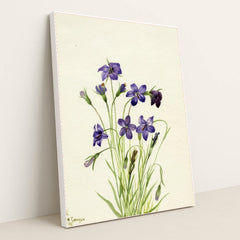 7074627420195 - Product Image