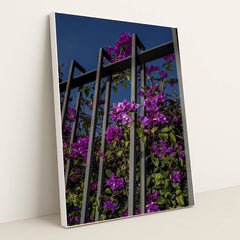 7090297536547 - Product Image