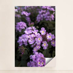 7090350194723 - Product Image