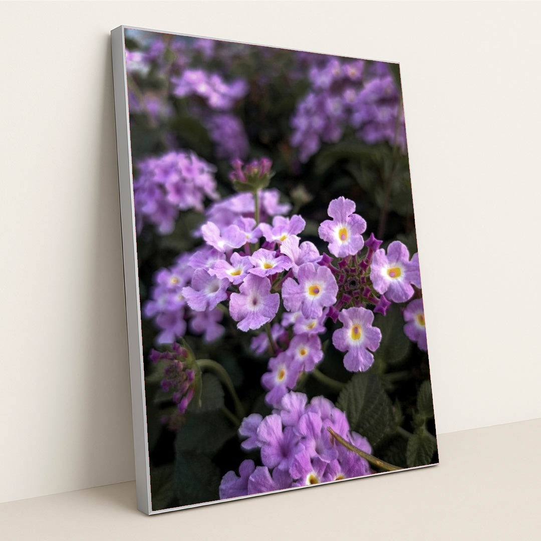 7090350194723 - Product Image