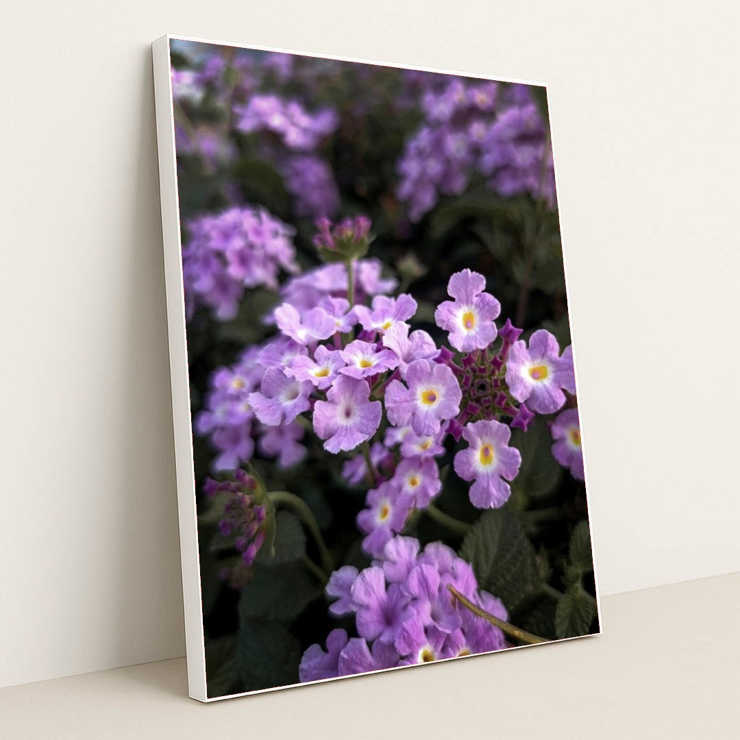 7090350194723 - Product Image