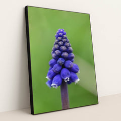 7090291998755 - Product Image