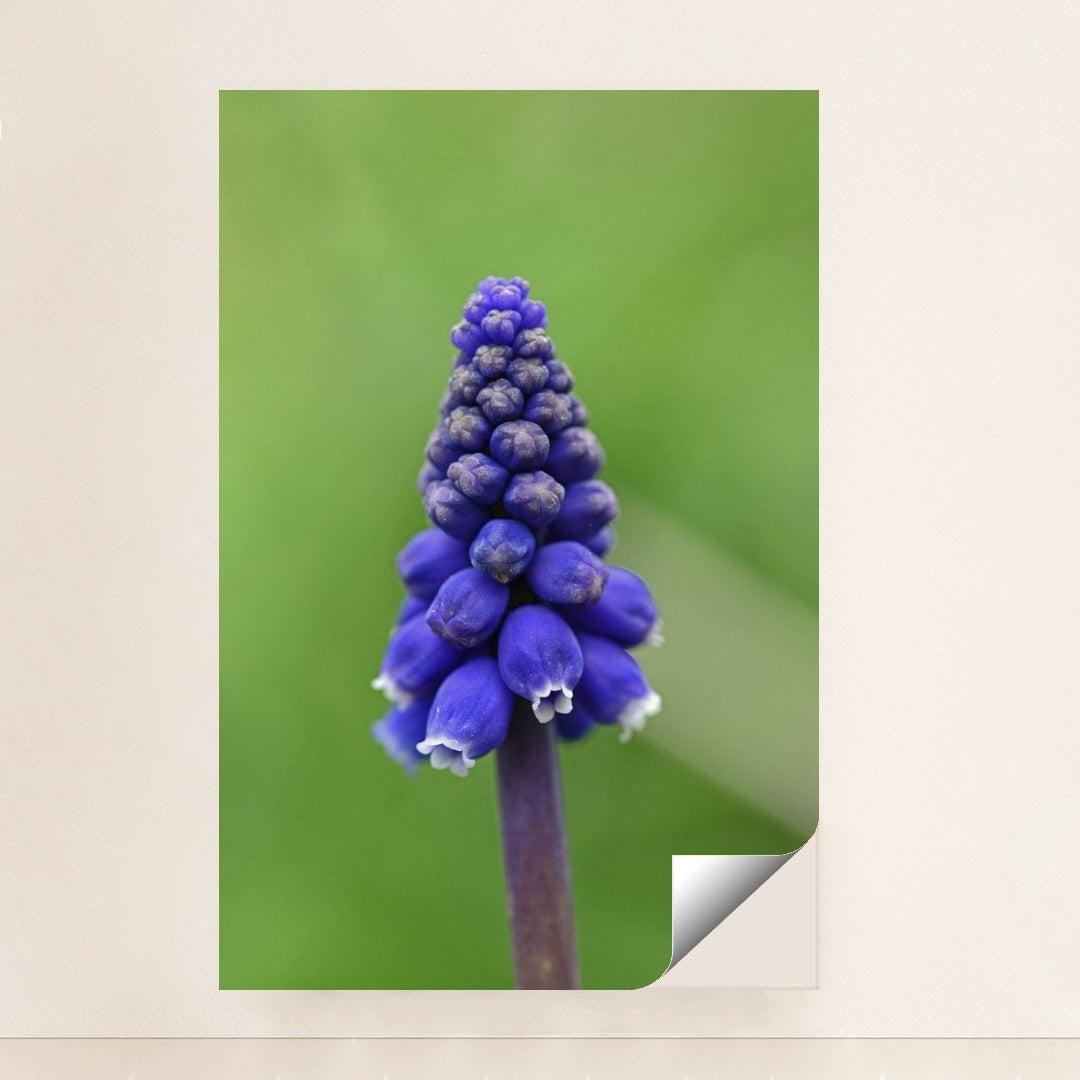 7090291998755 - Product Image