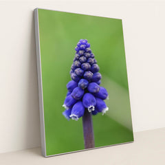 7090291998755 - Product Image