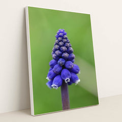 7090291998755 - Product Image