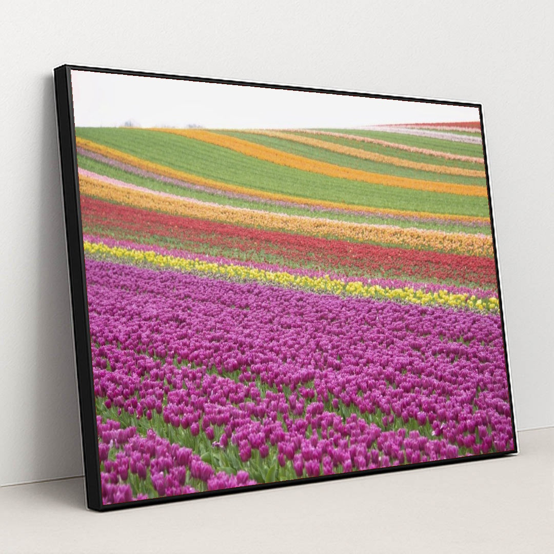 7090284822563 - Product Image