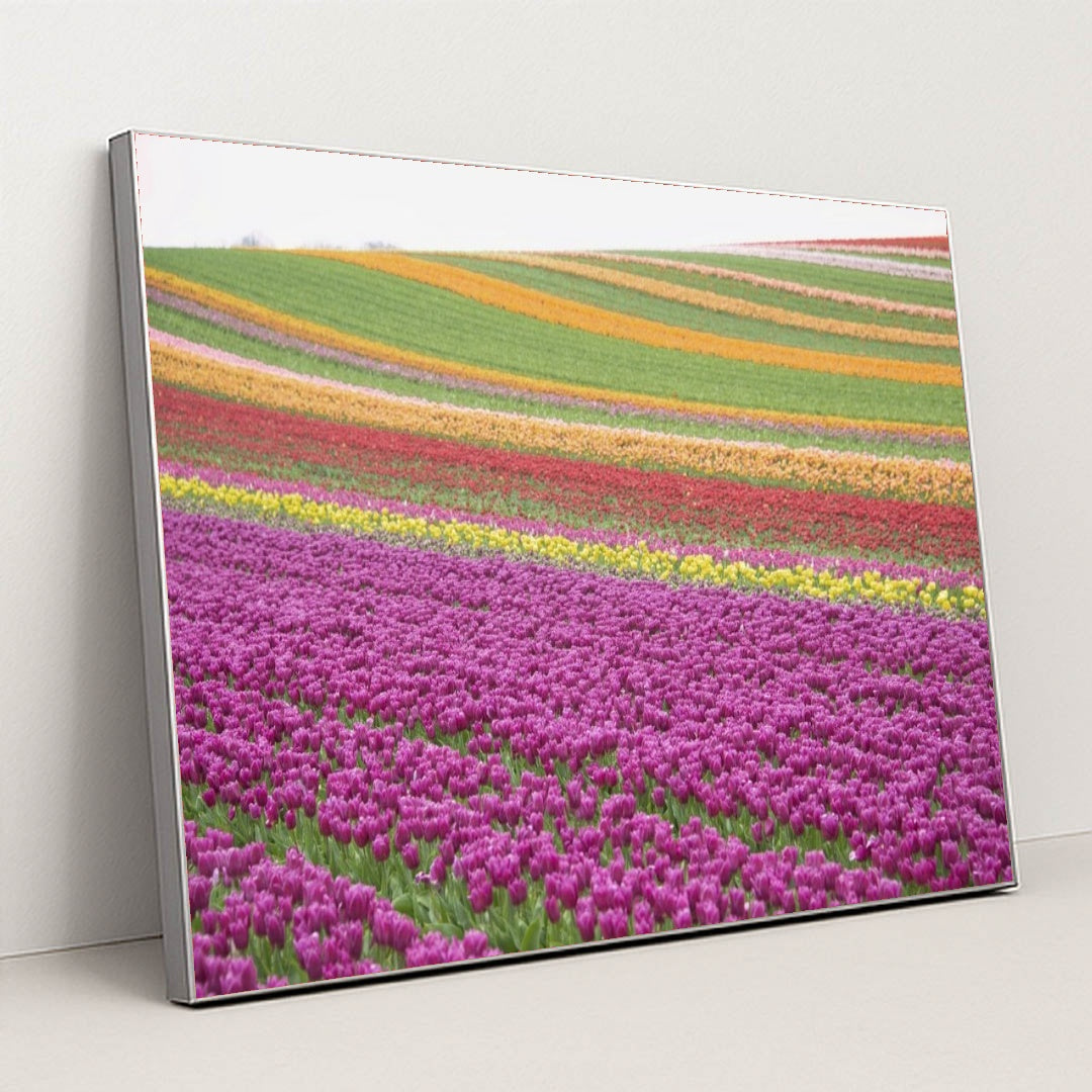 7090284822563 - Product Image