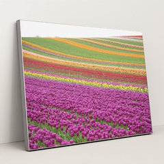 7090284822563 - Product Image