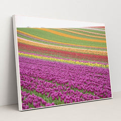 7090284822563 - Product Image