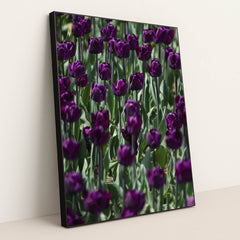 7090289279011 - Product Image