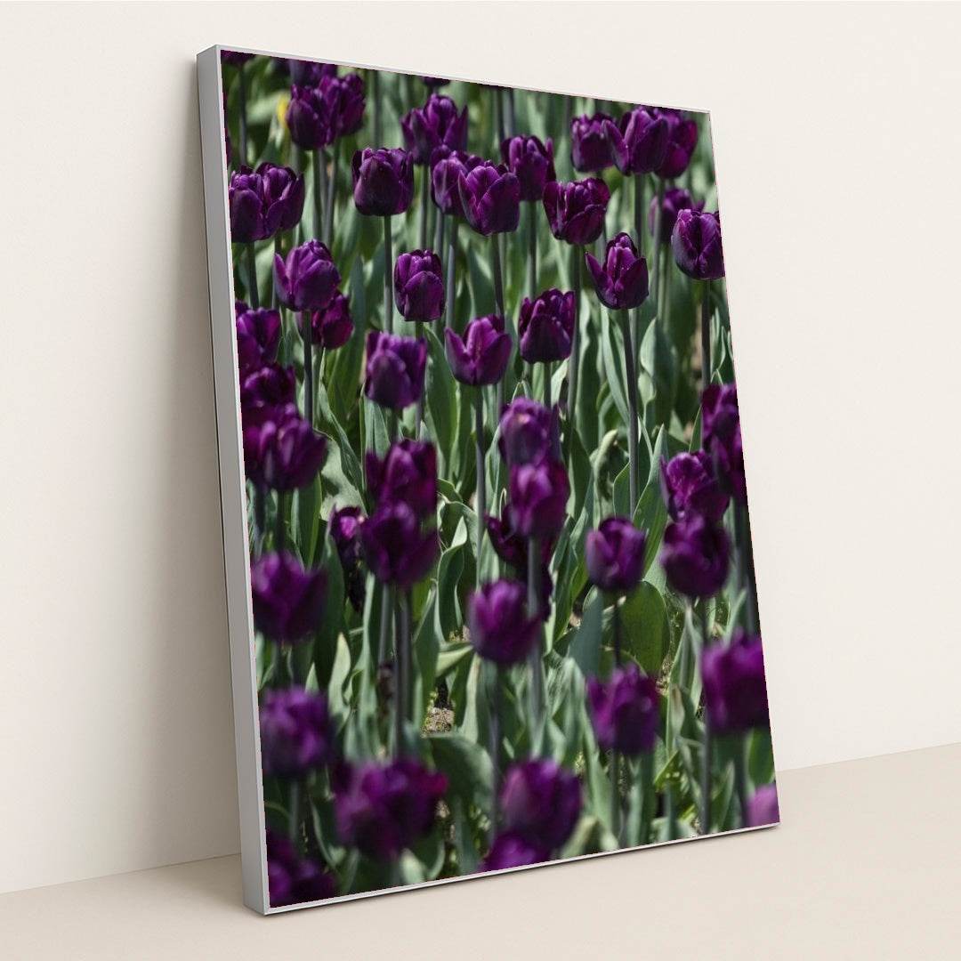 7090289279011 - Product Image