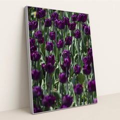 7090289279011 - Product Image