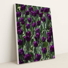 7090289279011 - Product Image