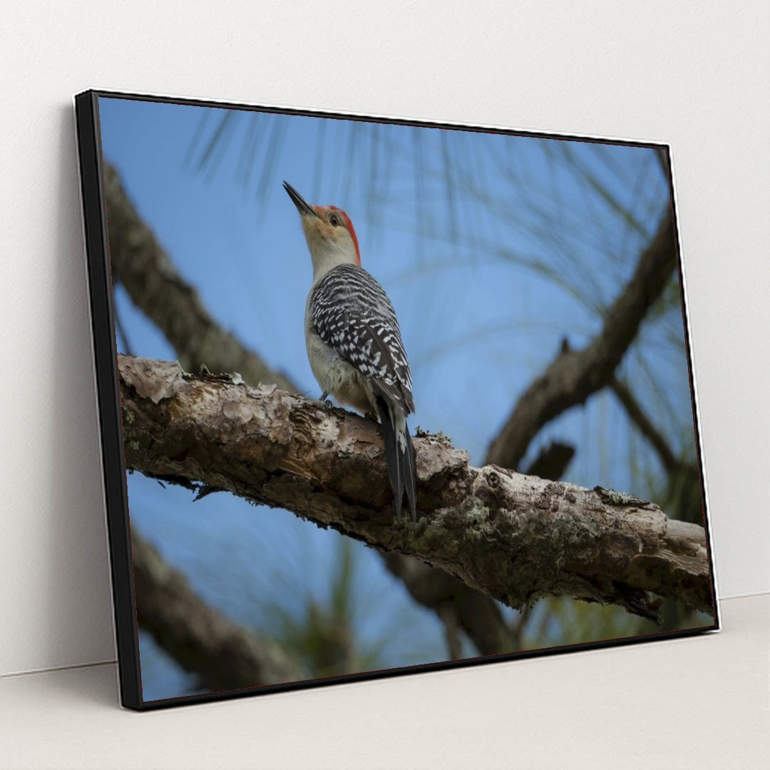 7090353438755 - Product Image