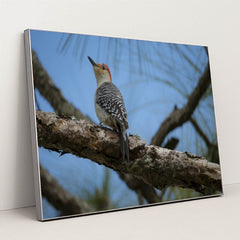 7090353438755 - Product Image