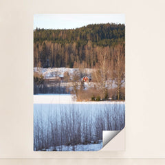 7090354323491 - Product Image