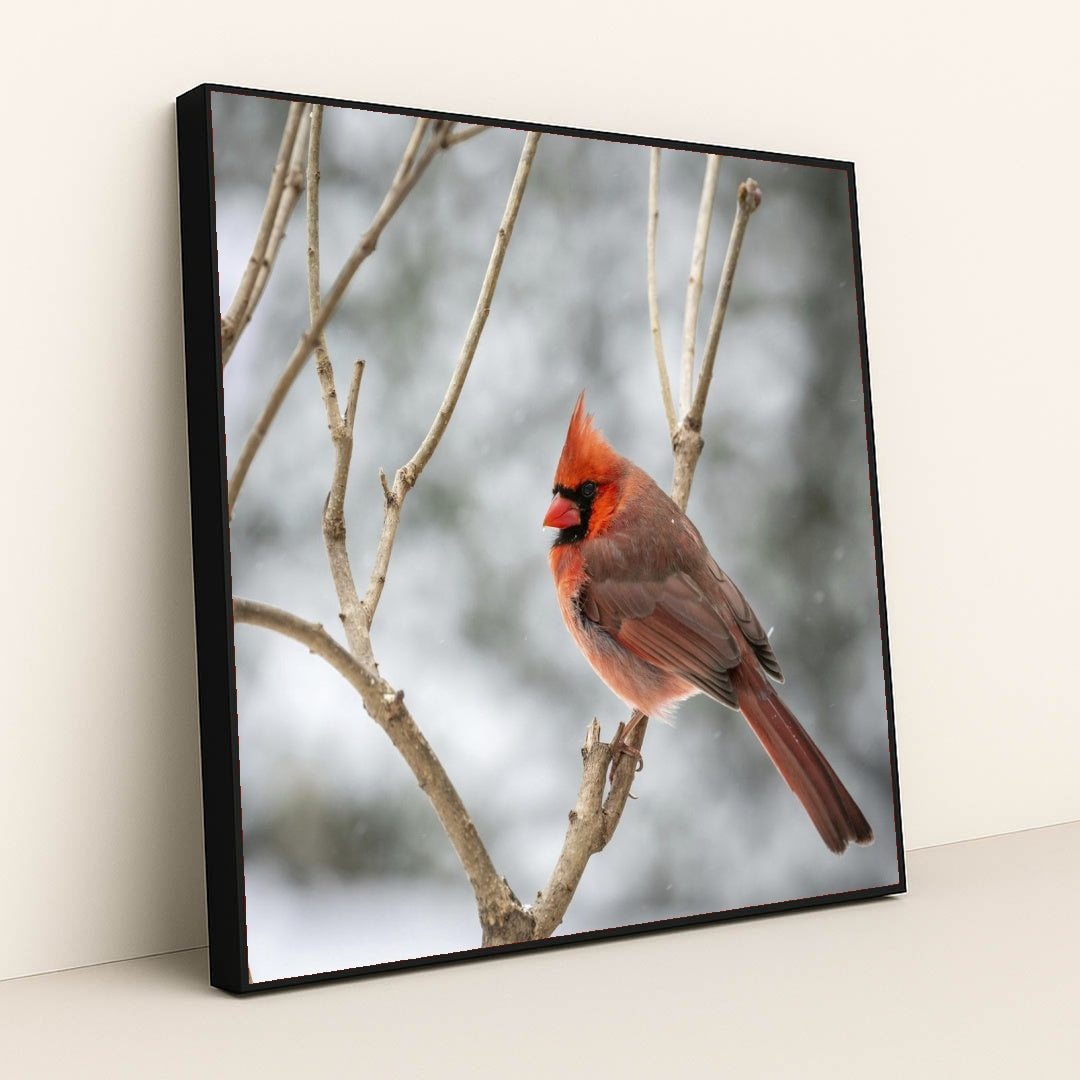 7090347900963 - Product Image