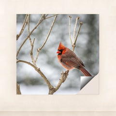 7090347900963 - Product Image