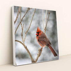 7090347900963 - Product Image