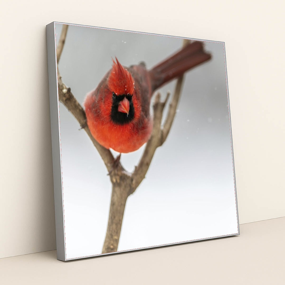 7090334793763 - Product Image