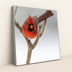 7090334793763 - Product Image