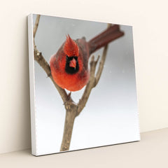 7090334793763 - Product Image