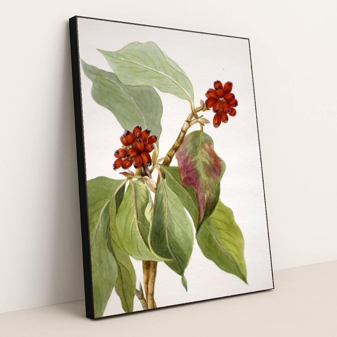 7074626895907 - Product Image