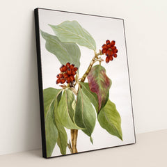 7074626895907 - Product Image