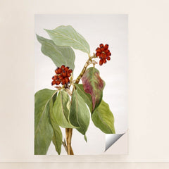 7074626895907 - Product Image