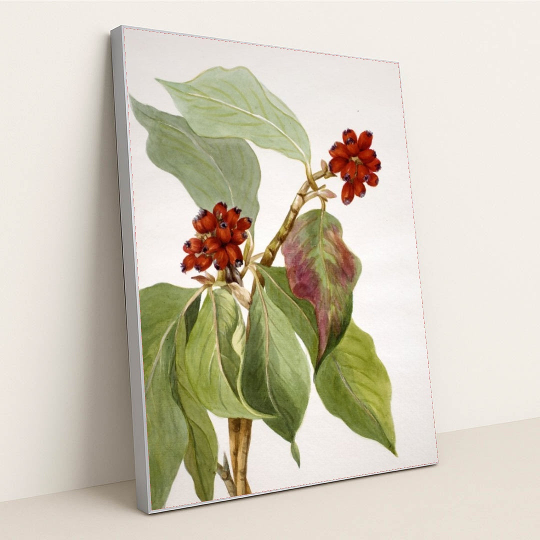 7074626895907 - Product Image