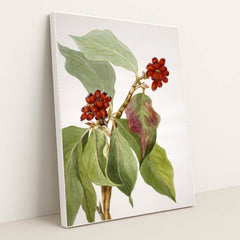 7074626895907 - Product Image