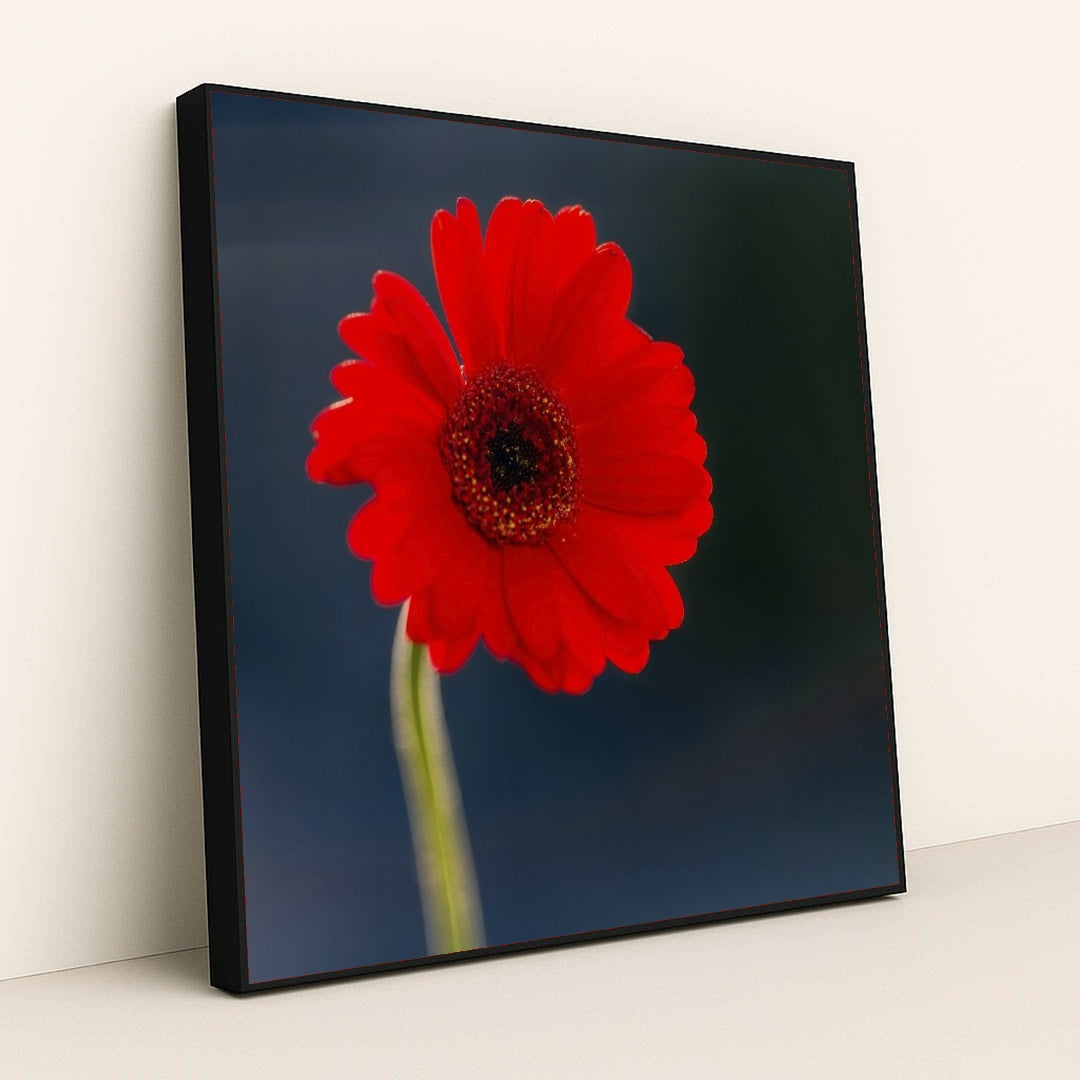 7090254905379 - Product Image