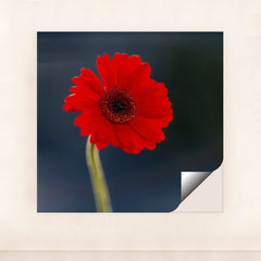 7090254905379 - Product Image