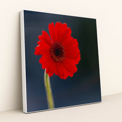 7090254905379 - Product Image