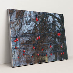 7090353471523 - Product Image