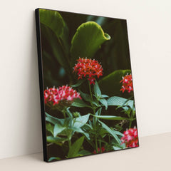 7090254446627 - Product Image