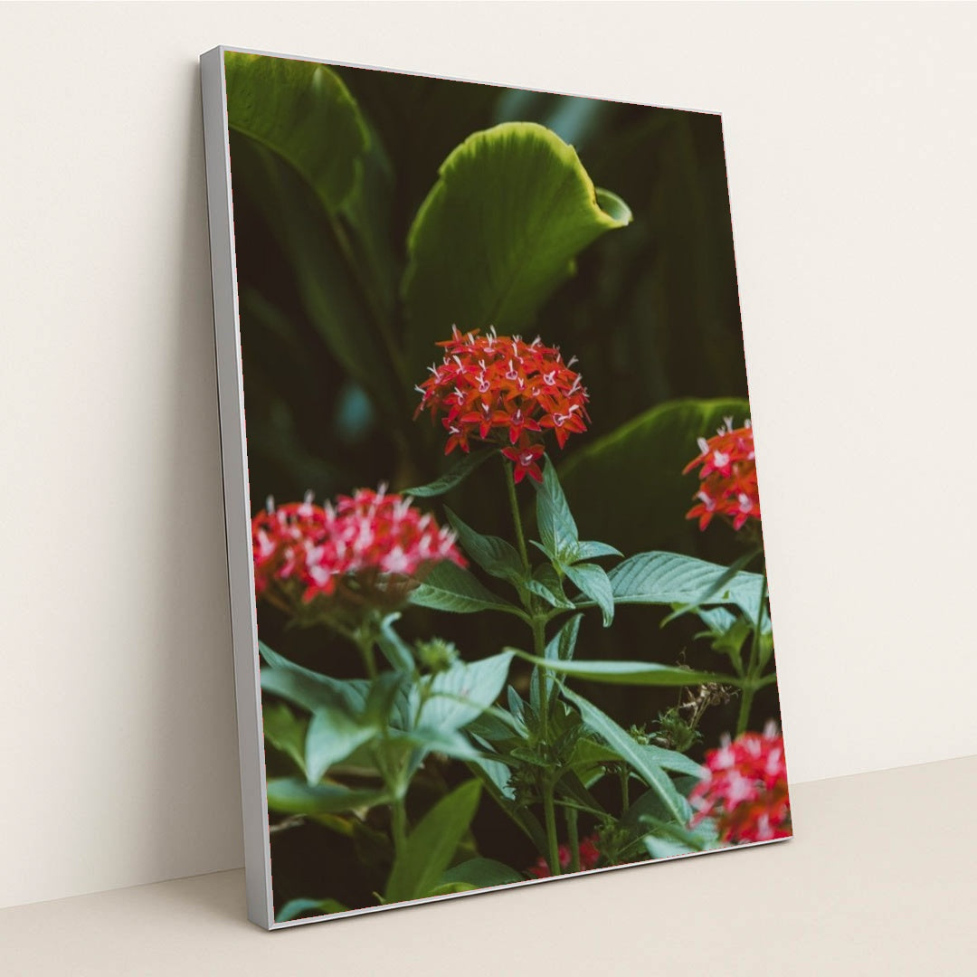 7090254446627 - Product Image