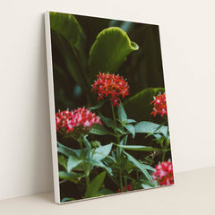 7090254446627 - Product Image