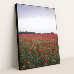 7090289049635 - Product Image